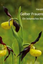 Gelber Frauenschuh af Harald Berner