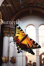 Butterfly af Anthony T Vento