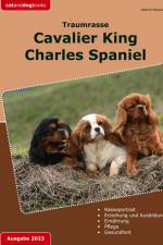 Traumrasse: Cavalier King Charles Spaniel af Jessica Neudorff