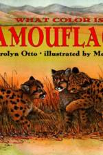 What Color Is Camouflage? af Carolyn B Otto