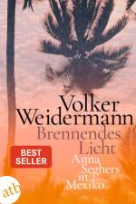 Brennendes Licht af Volker Weidermann