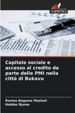 Capitale sociale e accesso al credito da parte delle PMI nella città di Bukavu af Romeo Baguma Mashali