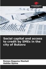 Social capital and access to credit by SMEs in the city of Bukavu af Romeo Baguma Mashali