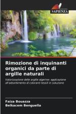 Rimozione di inquinanti organici da parte di argille naturali af Faiza Bouazza