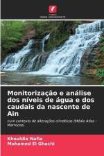 Monitorização e análise dos níveis de água e dos caudais da nascente de Ain af Khouldia Nafia