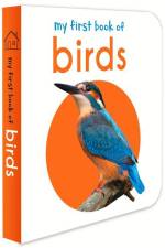 MY FBO BIRDS af Wonder House Books