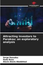 Attracting investors to Parakou: an exploratory analysis af Serge Daoudou