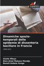 Dinamiche spazio-temporali delle epidemie di dissenteria bacillare in Francia af Gisèle Mbuyi