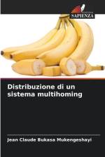 Distribuzione di un sistema multihoming af Jean Claude Bukasa Mukengeshayi