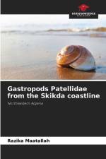 Gastropods Patellidae from the Skikda coastline af Razika Maatallah