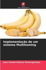 Implementação de um sistema Multihoming af Jean Claude Bukasa Mukengeshayi