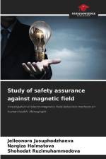Study of safety assurance against magnetic field af Jelleonora Jusuphodzhaeva