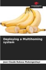 Deploying a Multihoming system af Jean Claude Bukasa Mukengeshayi