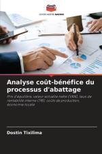 Analyse coût-bénéfice du processus d'abattage af Dostin Tixilima
