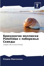 Brühonogie mollüski Patellidae s poberezh'q Skikdy af Razika Maatallah