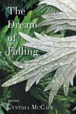 The Dream of Falling af Cynthia McCain