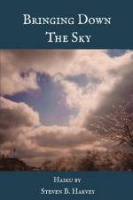 BRINGING DOWN THE SKY af Steven B. Harvey