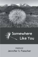 Somewhere Like You af Jennifer S. Flescher
