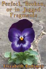 PERFECT, BROKEN OR IN JAGGED FRAGMENTS af Elizabeth P. Buttimer