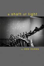 a shaft of light af Ann Huang