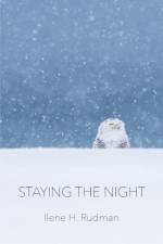 Staying The Night af Ilene H. Rudman