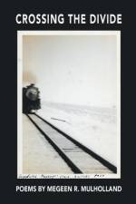 Crossing the Divide af Megeen R. Mulholland