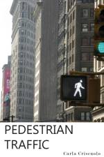 Pedestrian Traffic af Carla Criscuolo