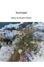 Illuminated af Sandra Thaxter