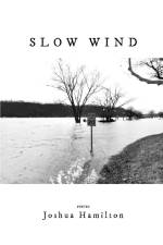 Slow Wind af Joshua Hamilton