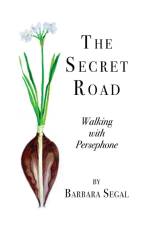 The Secret Road af Barbara Segal