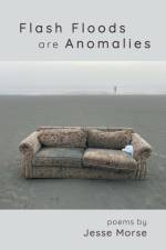 Flash Floods are Anomalies af Jesse Morse