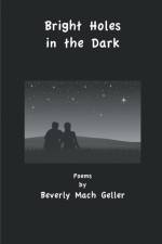 Bright Holes in the Dark af Beverly Mach Geller