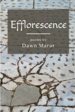 Efflorescence af Dawn Marar