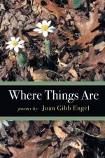 Where Things Are af Joan Engel