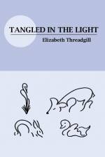 Tangled in the Light af Elizabeth Threadgill