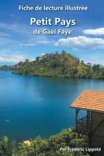 Fiche de lecture illustrée - Petit Pays, de Gaël Faye af Frederic Lippold