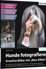 Hunde fotografieren - Kreative Bilder mit 