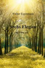 Sechs Elegien für Flöte solo af Walter Eigenmann