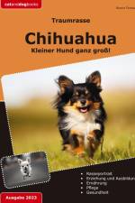 Traumrasse: Chihuahua af Bianca Thomsen