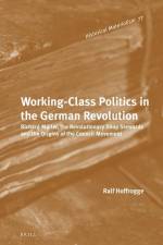 Working-Class Politics in the German Revolution: Richard Müller, the Revolutionary Shop Stewards and the Origins of the Council Movement af Ralf Hoffrogge