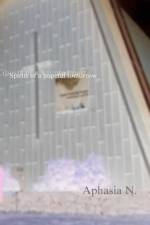 Ghosts of a Haunted Past/Spirits of a Hopeful Tomorrow af Aphasia Newman