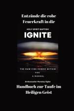 Ogbe, A: Entzünde die rohe Feuerkraft in dir - Handbuch zur af Ambassador Monday O. Ogbe