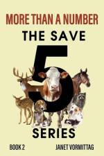 More Than a Number af Janet Vormittag