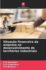 Situação financeira da empresa no desenvolvimento de territórios industriais af E M Soataliev