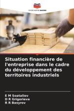 Situation financière de l'entreprise dans le cadre du développement des territoires industriels af E M Soataliev