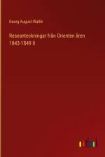 Reseanteckningar från Orienten åren 1843-1849 II af Georg August Wallin