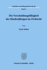 Die Verschuldungsfähigkeit des Minderjährigen im Zivilrecht. af Erich Waibel