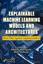 Explainable Machine Learning Models and Architectures