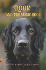 Rook and the Magic Door: Written and Illustrated by Danica Barreau af Danica Barreau