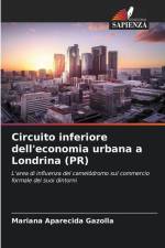 Circuito inferiore dell'economia urbana a Londrina (PR) af Mariana Aparecida Gazolla